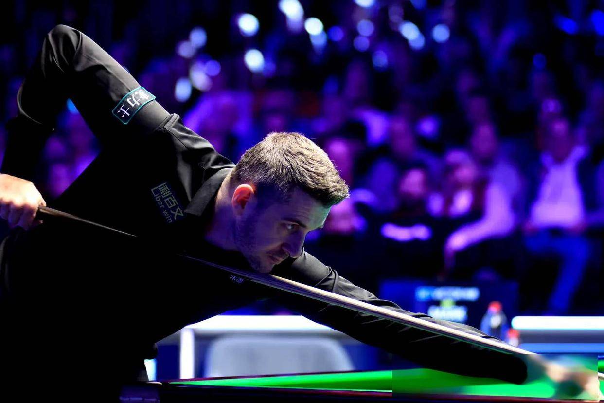 定局限性 定局限性